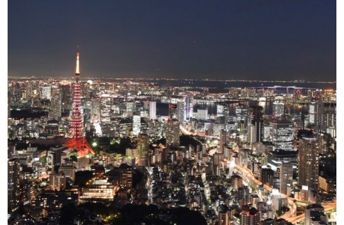 日本へのビジネス展開を支援するBUD特別基金